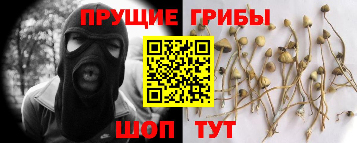 купить закладку  Галлюциногенные грибы Psilocybe  Вход с VPN  Рыбинск 